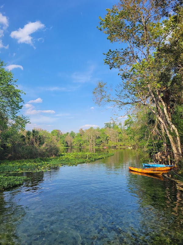 Hiking the Springs Trail Loop in Orlando surrounding landscape