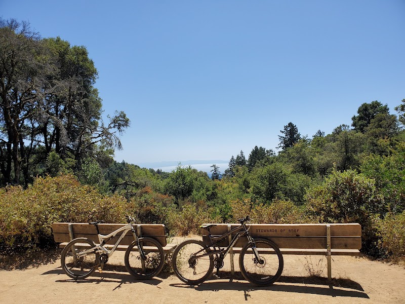 The Big Ride: A Legendary Mountain Biking Challenge in Santa Cruz - Aptos