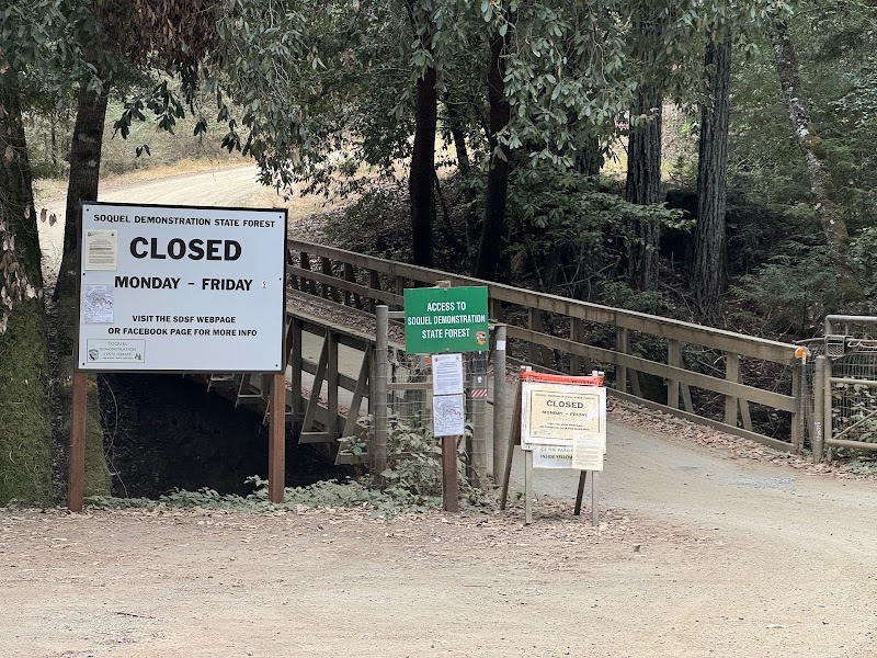 The Big Ride: A Legendary Mountain Biking Challenge in Santa Cruz - Aptos