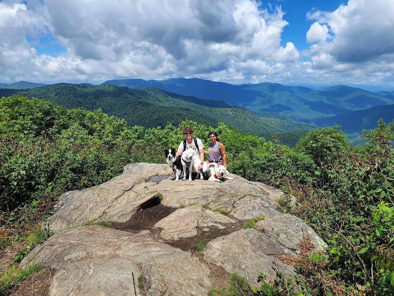 Hiking Sam Knob Summit Trail near Brevard surrounding landscape
