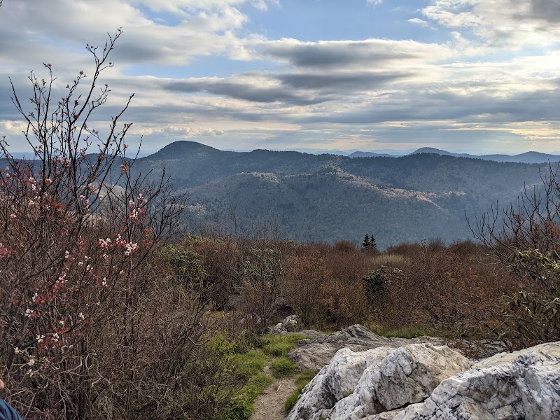 Hiking Sam Knob Summit Trail near Brevard - Black Balsam Knob Road