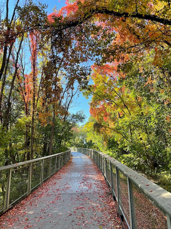 Exploring the Neponset River Greenway by Bike in Boston outdoor detail
