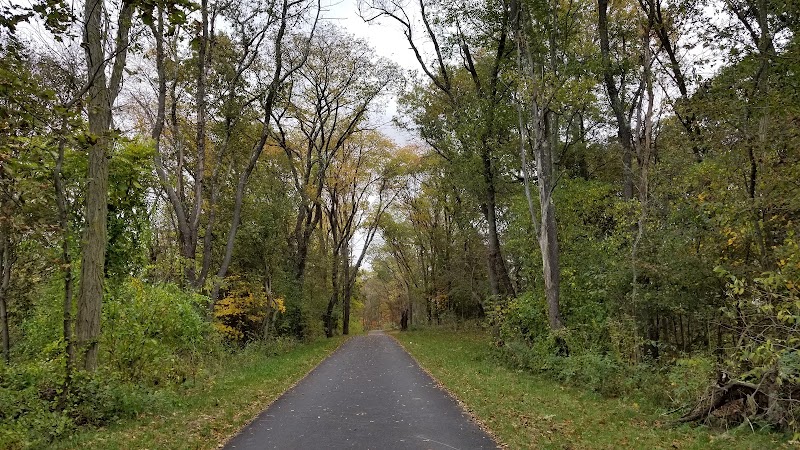 Exploring the Neponset River Greenway by Bike in Boston surrounding landscape