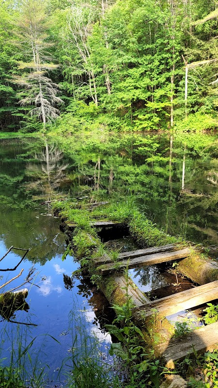 Running the Burbank Trail in The Berkshires - Richmond Mountain Road