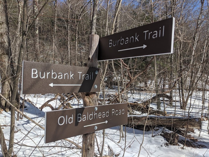 Running the Burbank Trail in The Berkshires - Richmond Mountain Road