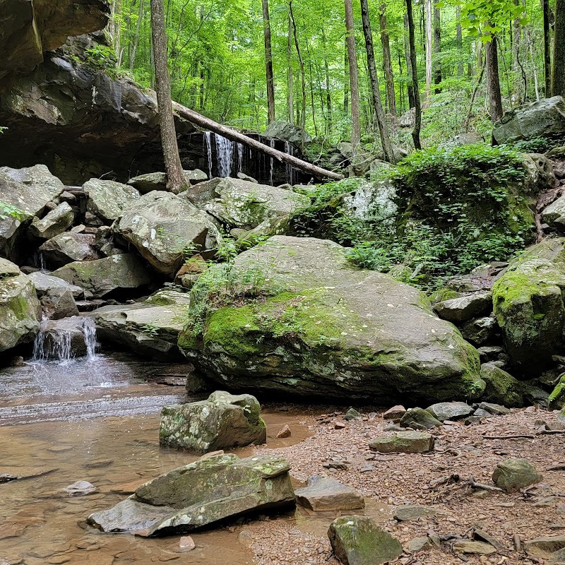 Hiking at Frozen Head State Park: A Scenic Adventure in Tennessee’s Wilderness  surrounding landscape