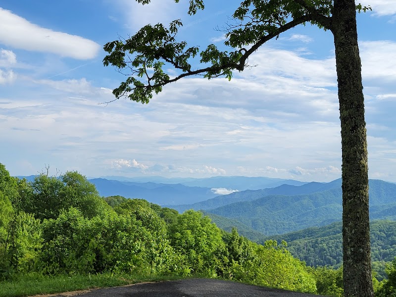 Best Backpacking Trails Near Knoxville, Tennessee - Knoxville