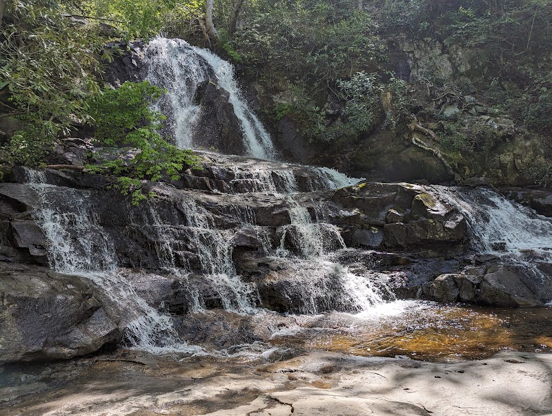 Best Backpacking Trails Near Knoxville, Tennessee - Knoxville