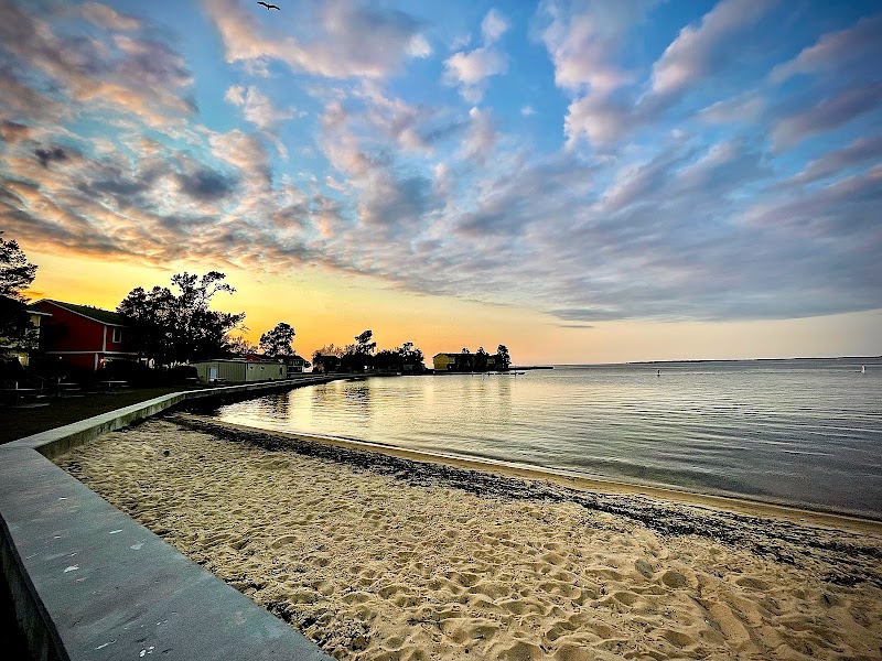 Reeling It In: Fishing on Lake Moultrie, South Carolina surrounding landscape