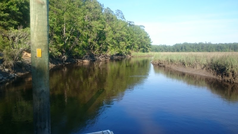A Lowcountry Trek: Hiking the Awendaw Passage of the Swamp Fox Trail surrounding landscape