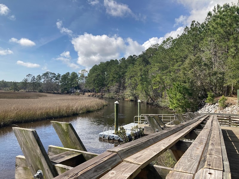 A Lowcountry Trek: Hiking the Awendaw Passage of the Swamp Fox Trail outdoor detail