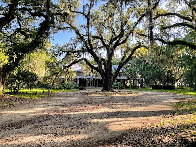 Wild Miles: A Runner’s Guide to Santee Coastal Reserve surrounding landscape