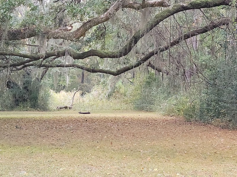 Wild Miles: A Runner’s Guide to Santee Coastal Reserve - Charleston
