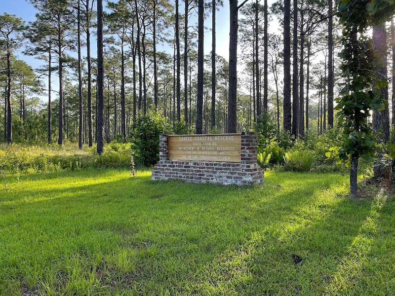 Wild Miles: A Runner’s Guide to Santee Coastal Reserve outdoor detail