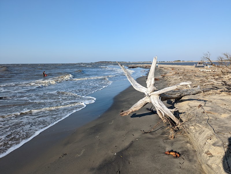 Wild Miles: A Runner’s Guide to Santee Coastal Reserve - Charleston