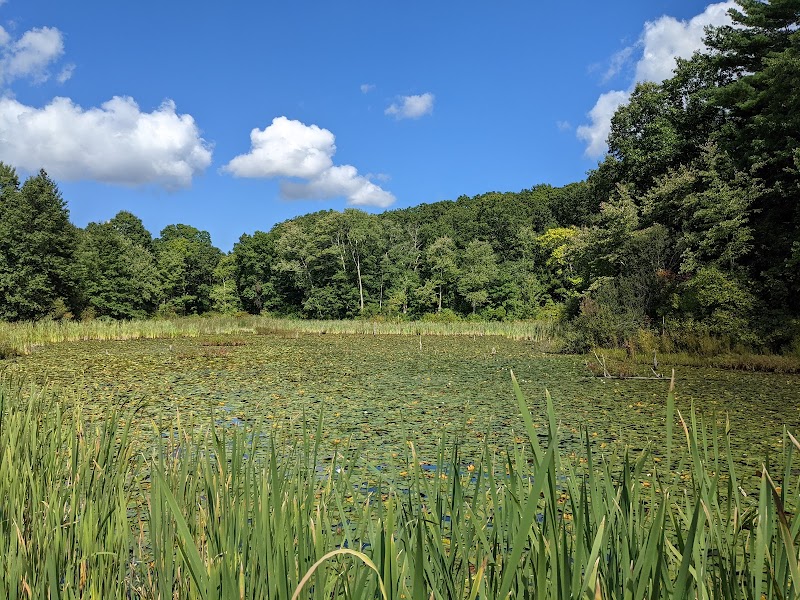 Hiking Trails at Blue Hills Reservation in Boston surrounding landscape