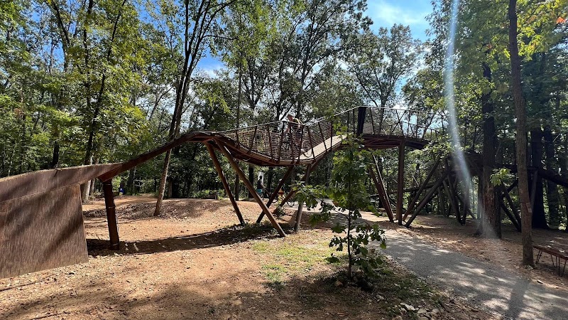Mountain Biking the Coler Mountain Bike Preserve in Bentonville, Arkansas surrounding landscape