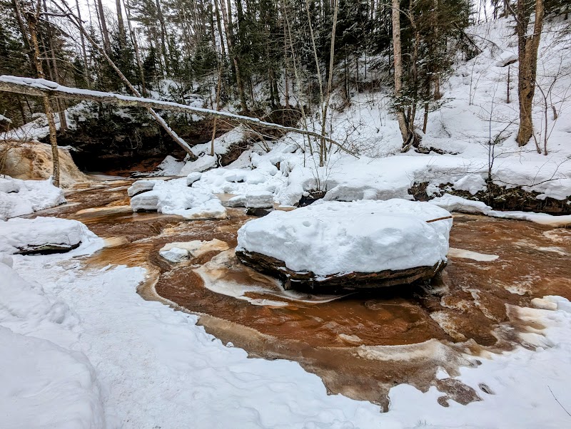 Hiking the Lost Creek Falls Trail: A Local Guide outdoor detail