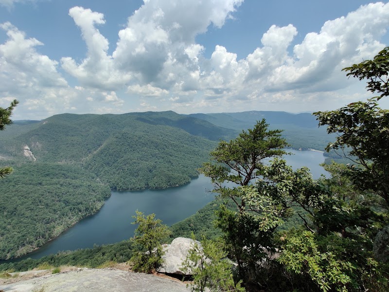 Discover the Wonders of Hiking Pinnacle Mountain Trail in Greenville, SC surrounding landscape
