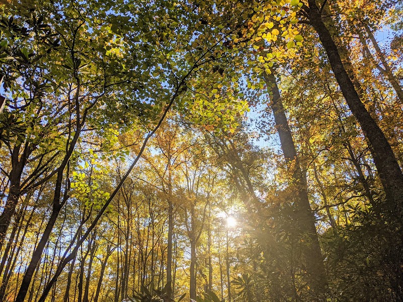 Camping at Julian Price Campground in Blue Ridge Parkway surrounding landscape