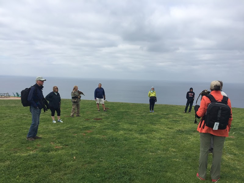 Experiencing the Total Raptor Experience in San Diego surrounding landscape