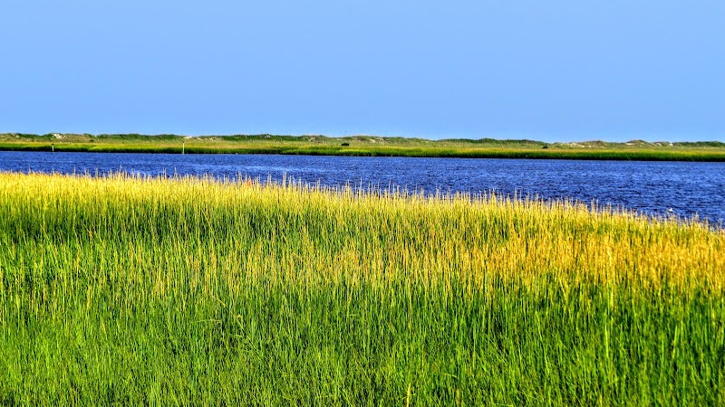 Hiking at Fort Fisher State Recreation Area - Wilmington