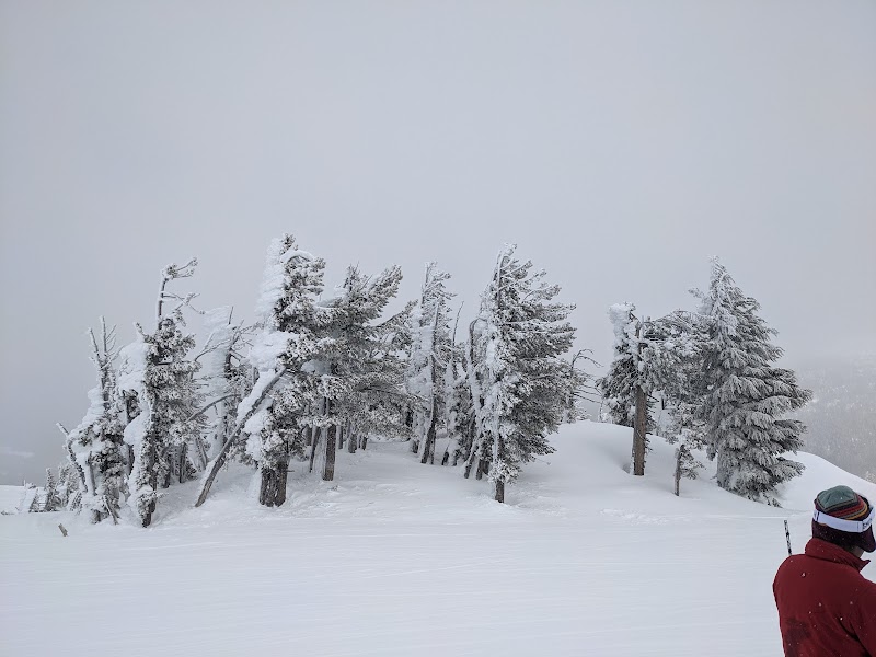 Skiing and Snowboarding at Mt. Bachelor: Central Oregon’s Winter Playground surrounding landscape
