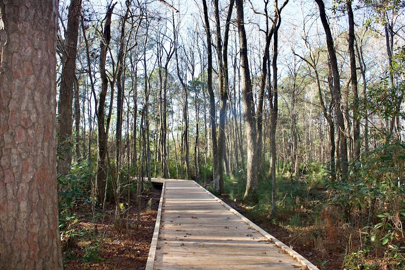 Explore the Sugarloaf Dune Trail in Wilmington, NC - Carolina Beach