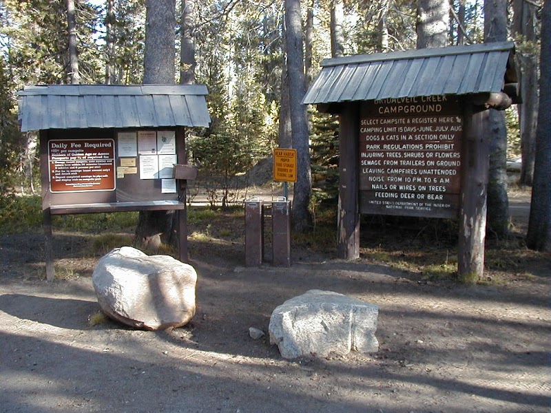 Camping at Bridalveil Creek Campground in Glacier Point Road outdoor detail