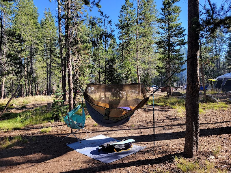 Camping at Bridalveil Creek Campground in Glacier Point Road surrounding landscape