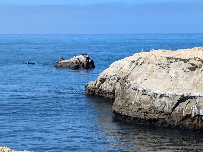 Surfing at Lighthouse Point in Santa Cruz, California surrounding landscape