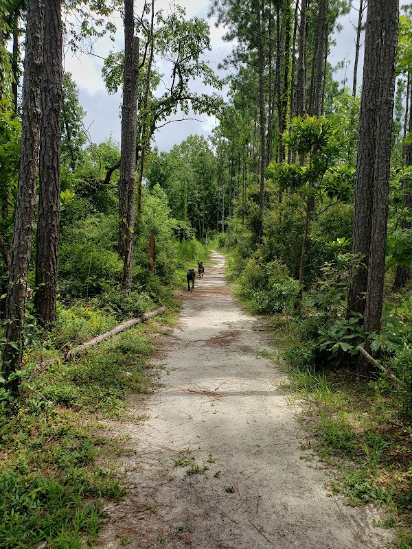 Abbey Nature Preserve: Wilmington’s Quiet Refuge for the Nature-Inclined - 1211-435 Scotts Hill Loop Rd