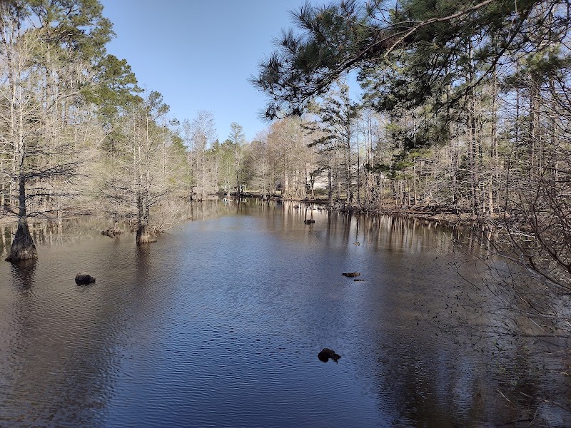 Abbey Nature Preserve: Wilmington’s Quiet Refuge for the Nature-Inclined - 1211-435 Scotts Hill Loop Rd