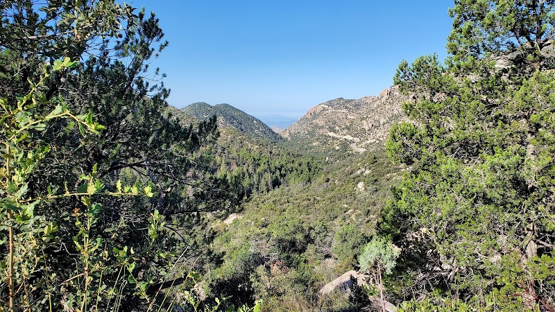 Ride The Green Mountain Trail in Tucson surrounding landscape