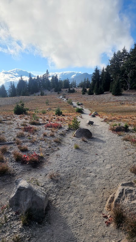 Hiking the Broken Top Trail in Bend, Oregon surrounding landscape