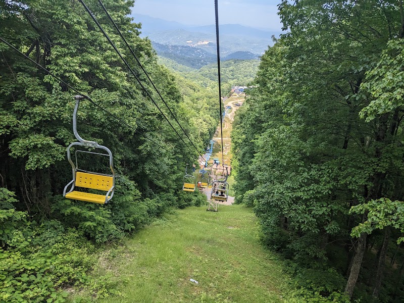 Ober Mountain Bike Park: Gatlinburg's Premier Downhill Destination surrounding landscape