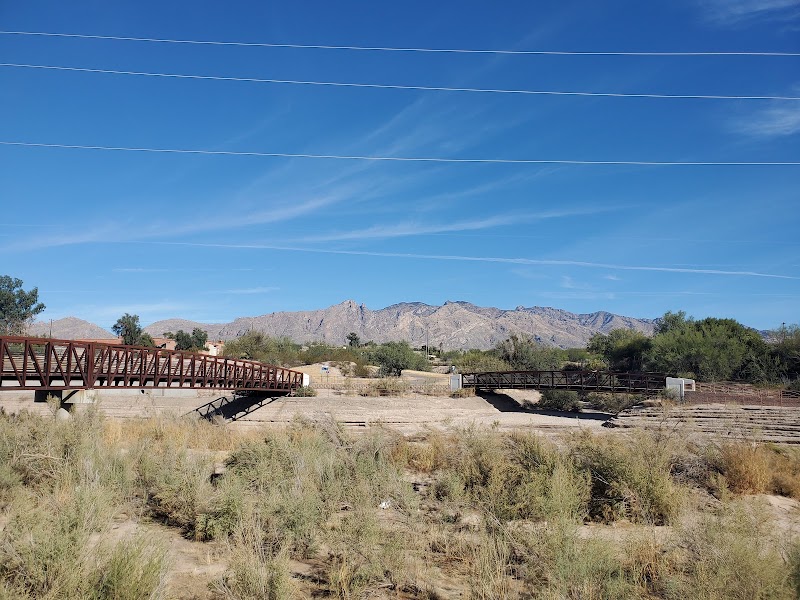 Running Through the Brandi Fenton Memorial Park Trails in Tucson surrounding landscape