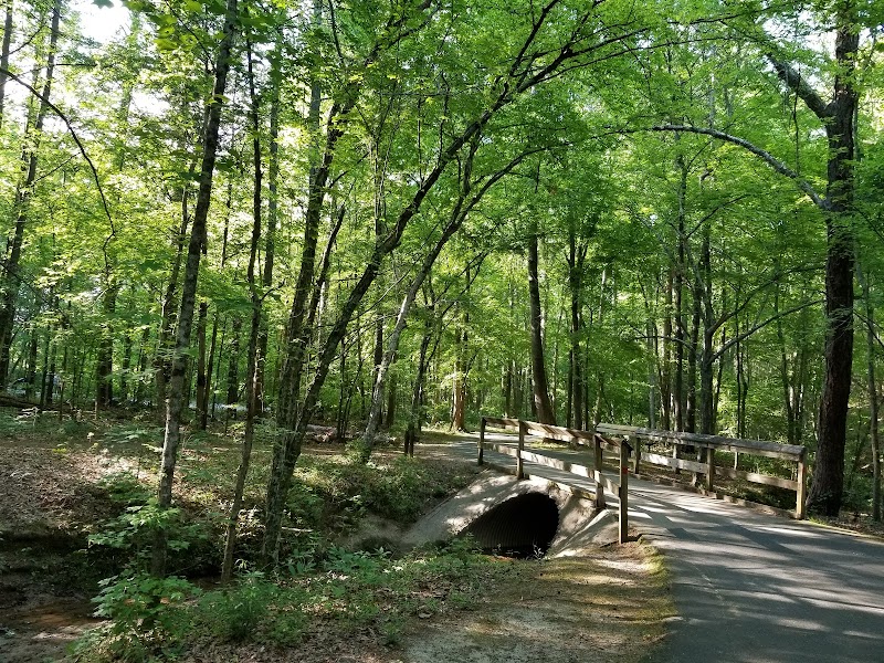 Discover McDowell Nature Preserve: An Untamed Refuge Just Outside Charlotte surrounding landscape