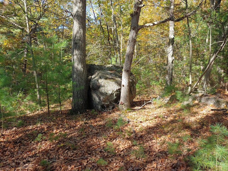 Exploring Trails in Stony Brook Reservation in Boston - Boston