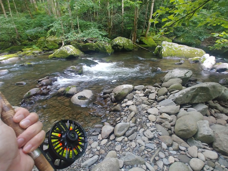 Little River Fly Fishing (Great Smoky Mountains) near Knoxville - Knoxville