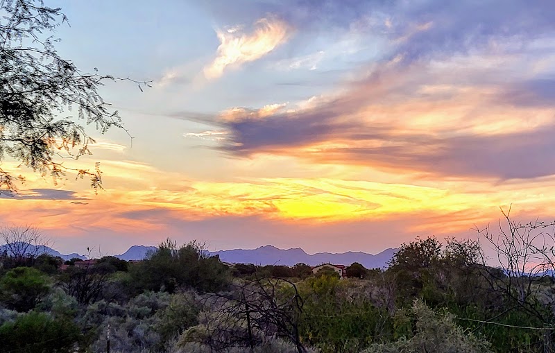 Running Rillito River Path for Long Scenic Views in Tucson surrounding landscape