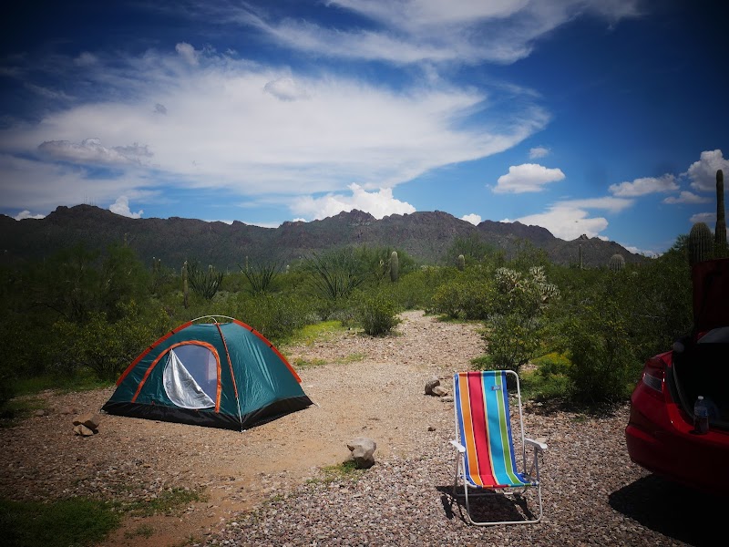 Camping at Gilbert Ray Campground in Tucson Mountain Park surrounding landscape