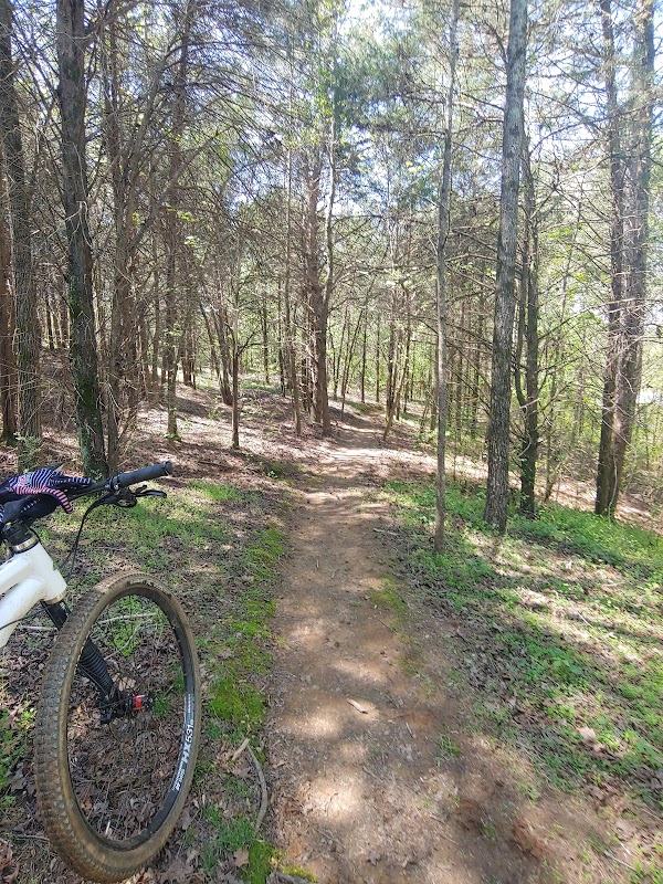 Discover the Thrill of Mountain Biking on Signal Hill Trail, Charlotte - Charlotte