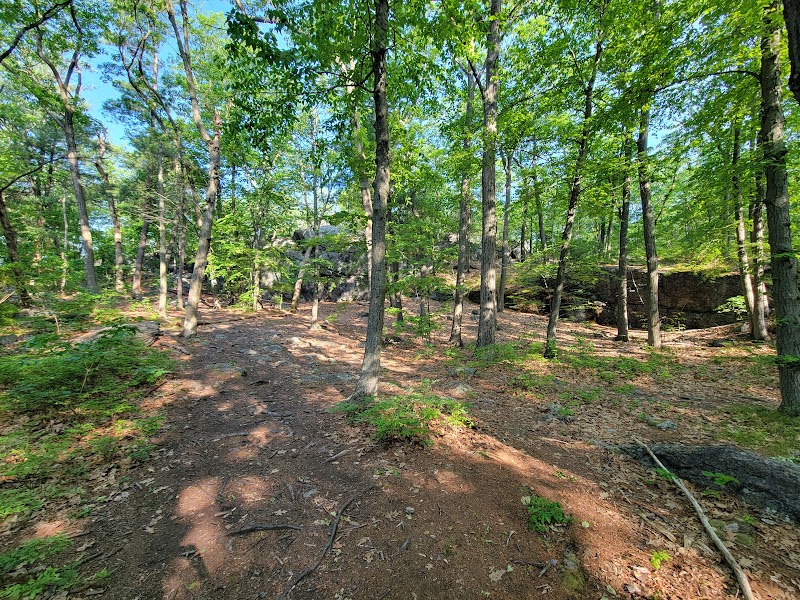 Bouldering Spots in Hammond Pond Reservation surrounding landscape