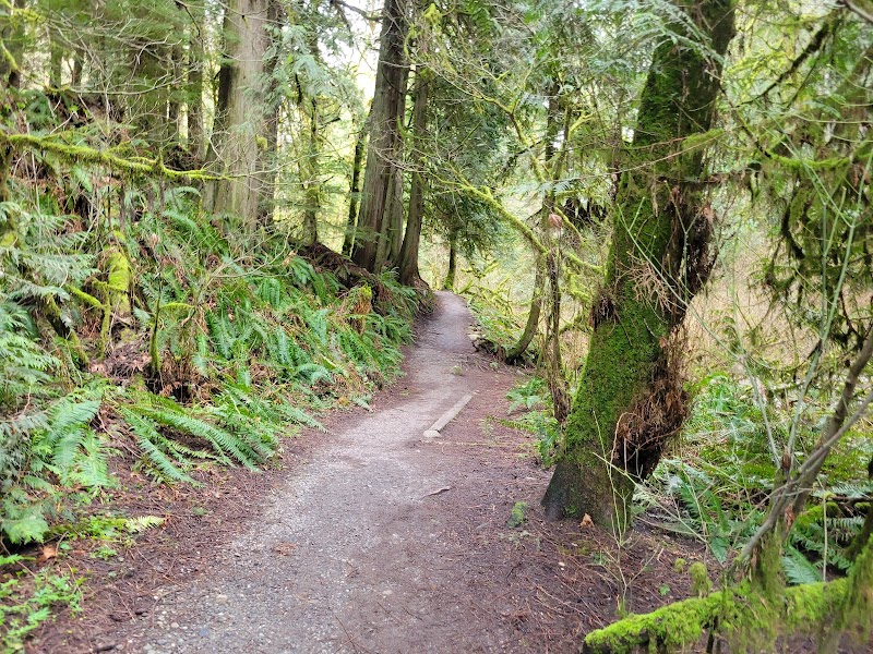 Exploring the Best of Bellingham: A Comprehensive 5-Day Itinerary - Bellingham 