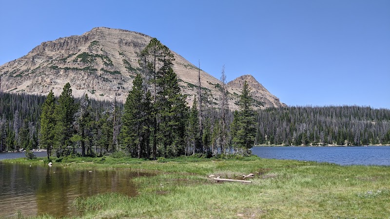 Hike to Bald Mountain for a Summit View - Park City