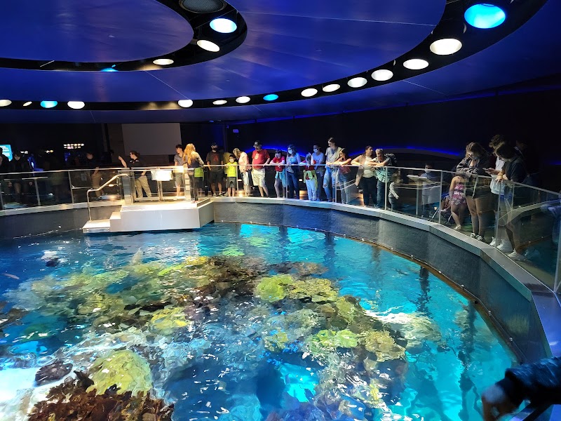 Aquarium Visits at New England Aquarium in Boston - Boston