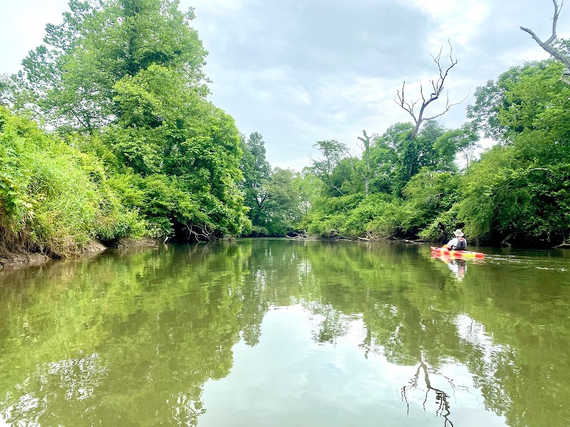 French Broad River Fly Fishing in Knoxville surrounding landscape
