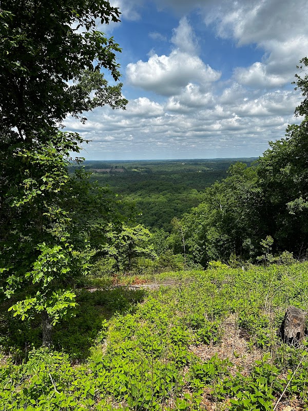 Journey Through Uwharrie National Forest: A Backpacker's Guide - Uwharrie National Forest
