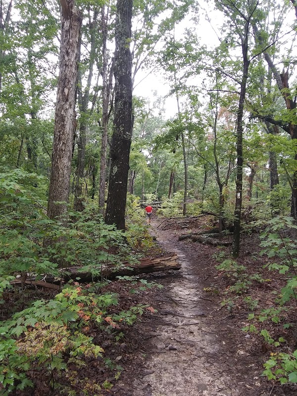 Journey Through Uwharrie National Forest: A Backpacker's Guide - Uwharrie National Forest